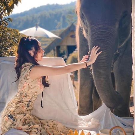 3 Pok Maewang Jinxiang Gold Elephant Park Mae Wang Eksteriør bilde