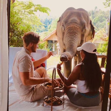3 Pok Maewang Jinxiang Gold Elephant Park Mae Wang Eksteriør bilde