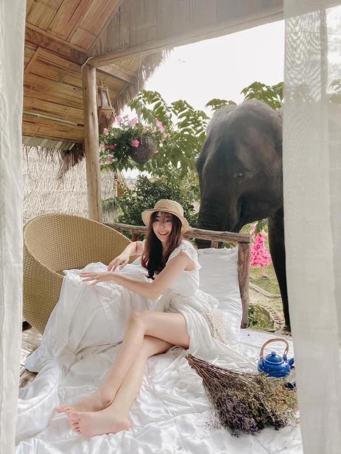 3 Pok Maewang Jinxiang Gold Elephant Park Mae Wang Eksteriør bilde