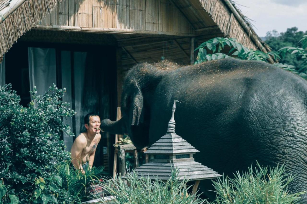 3 Pok Maewang Jinxiang Gold Elephant Park Mae Wang Eksteriør bilde