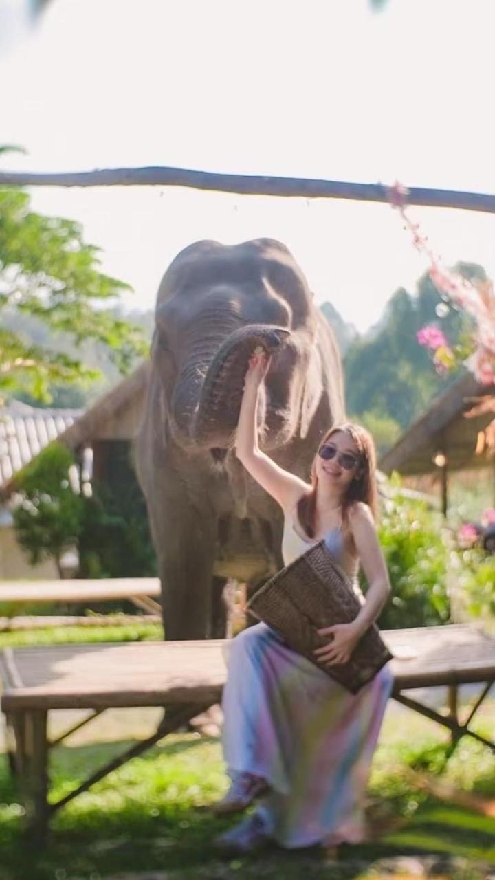 3 Pok Maewang Jinxiang Gold Elephant Park Mae Wang Eksteriør bilde