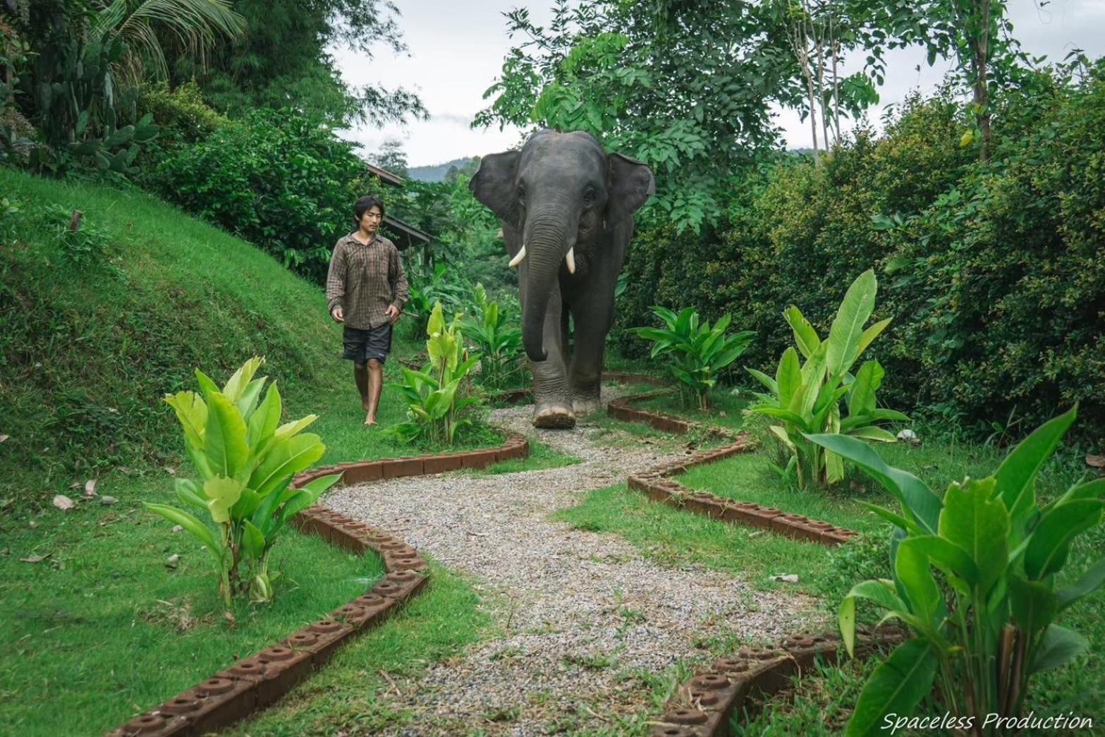 3 Pok Maewang Jinxiang Gold Elephant Park Mae Wang Eksteriør bilde