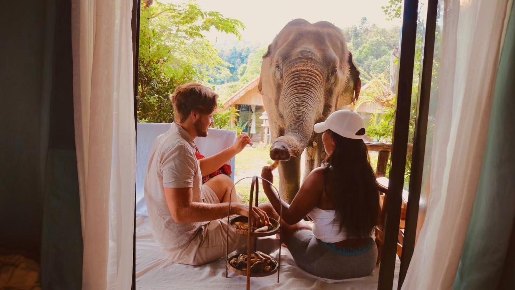 3 Pok Maewang Jinxiang Gold Elephant Park Mae Wang Eksteriør bilde