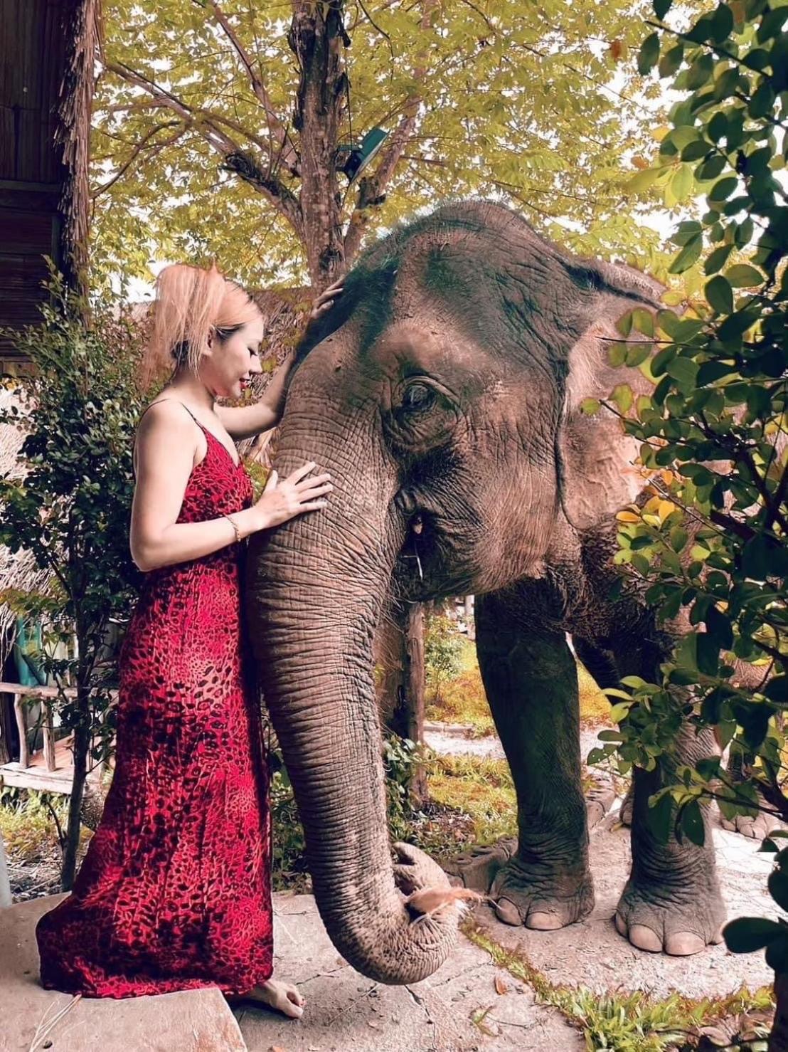 3 Pok Maewang Jinxiang Gold Elephant Park Mae Wang Eksteriør bilde