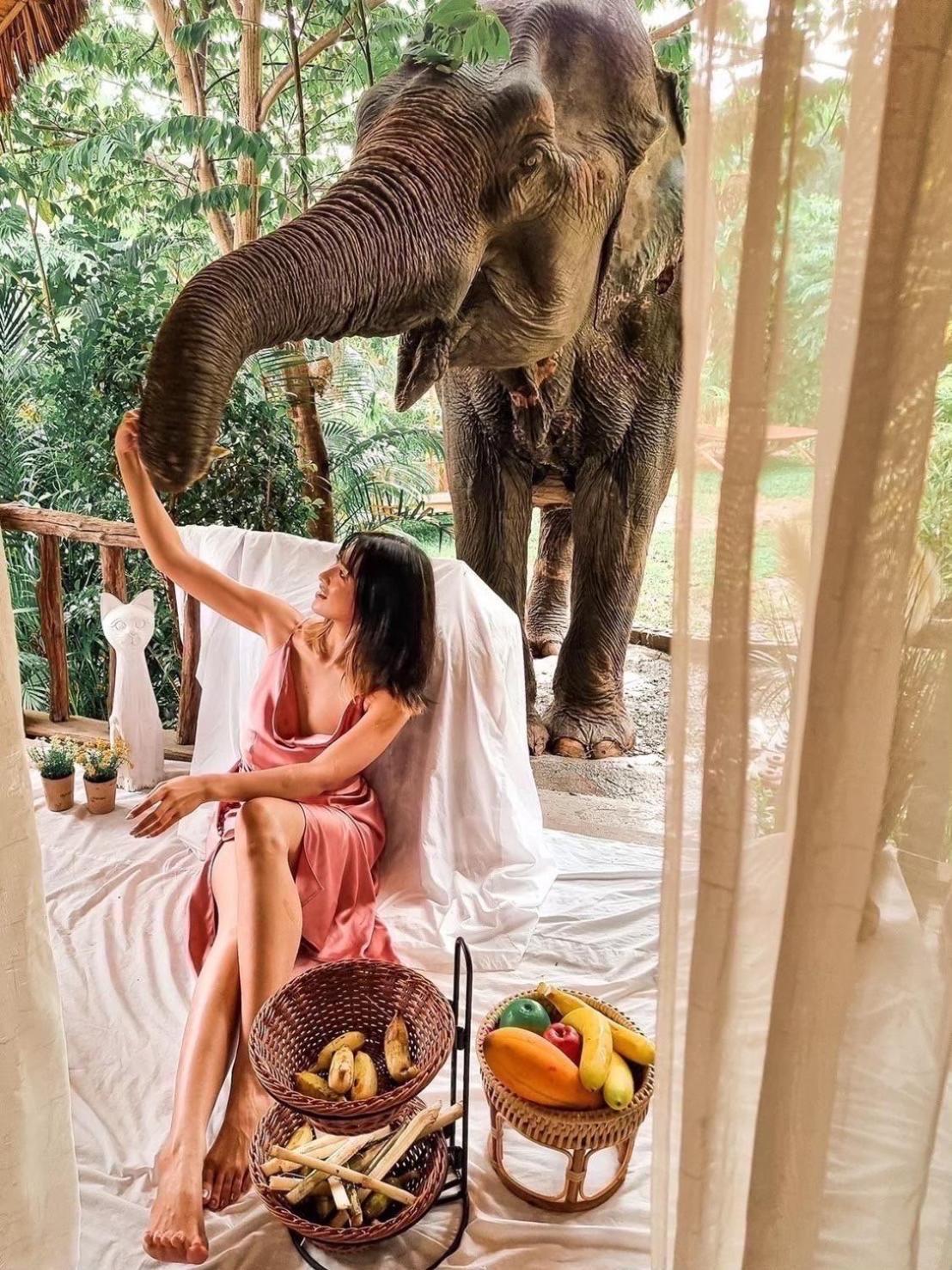 3 Pok Maewang Jinxiang Gold Elephant Park Mae Wang Eksteriør bilde