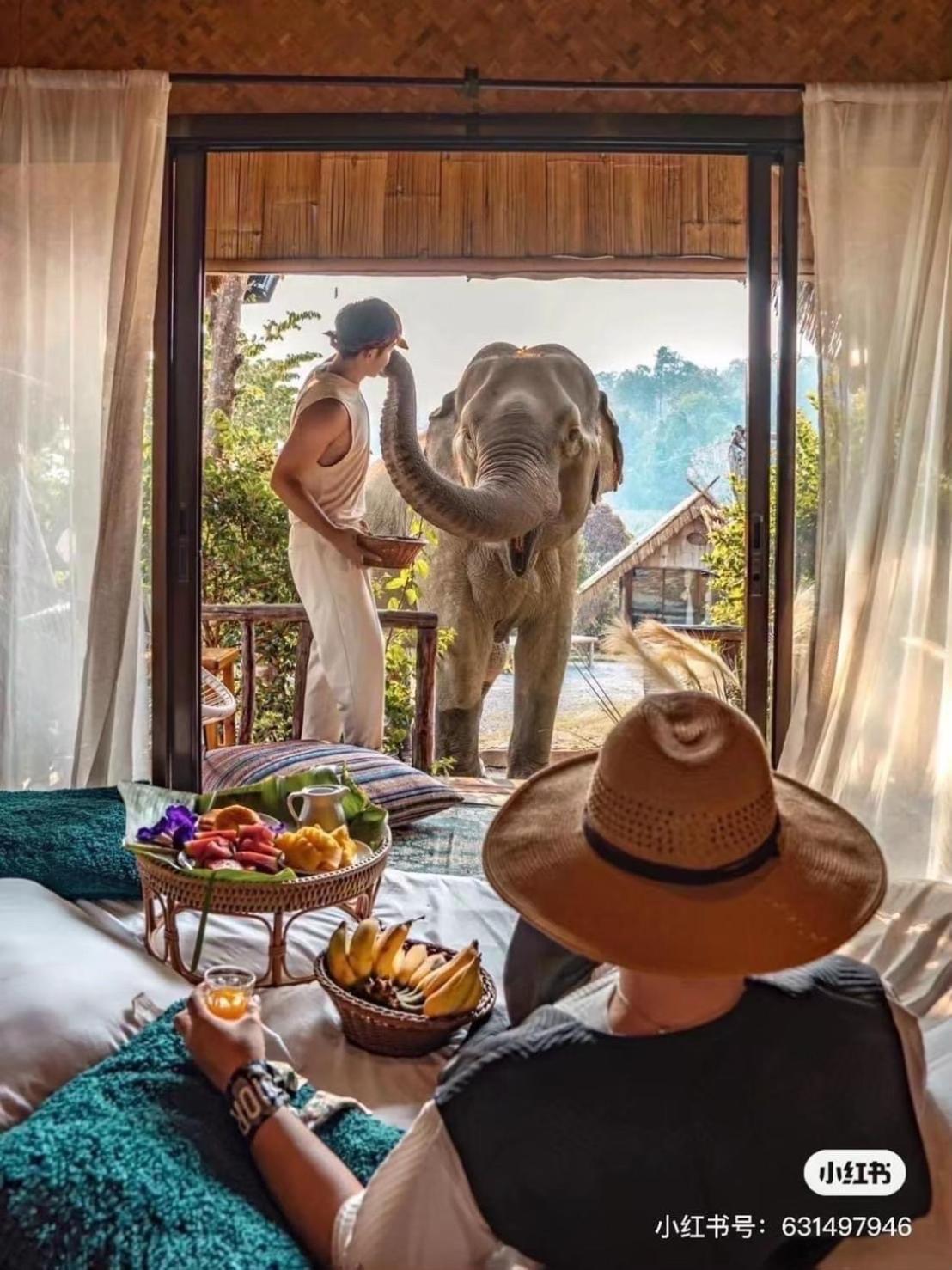 3 Pok Maewang Jinxiang Gold Elephant Park Mae Wang Eksteriør bilde