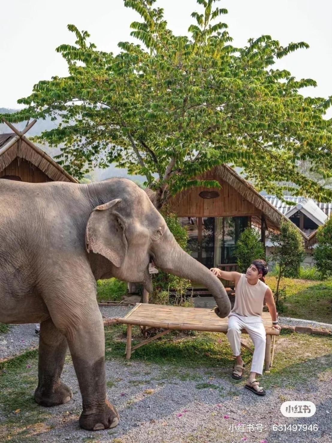3 Pok Maewang Jinxiang Gold Elephant Park Mae Wang Eksteriør bilde