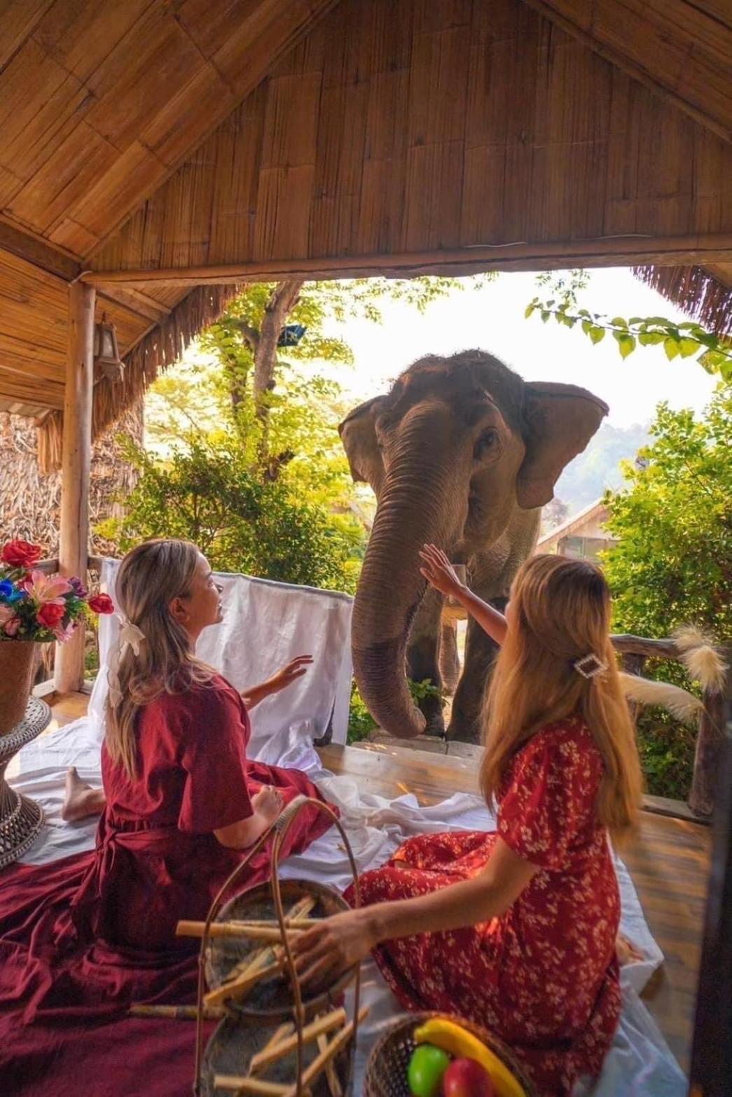 3 Pok Maewang Jinxiang Gold Elephant Park Mae Wang Eksteriør bilde