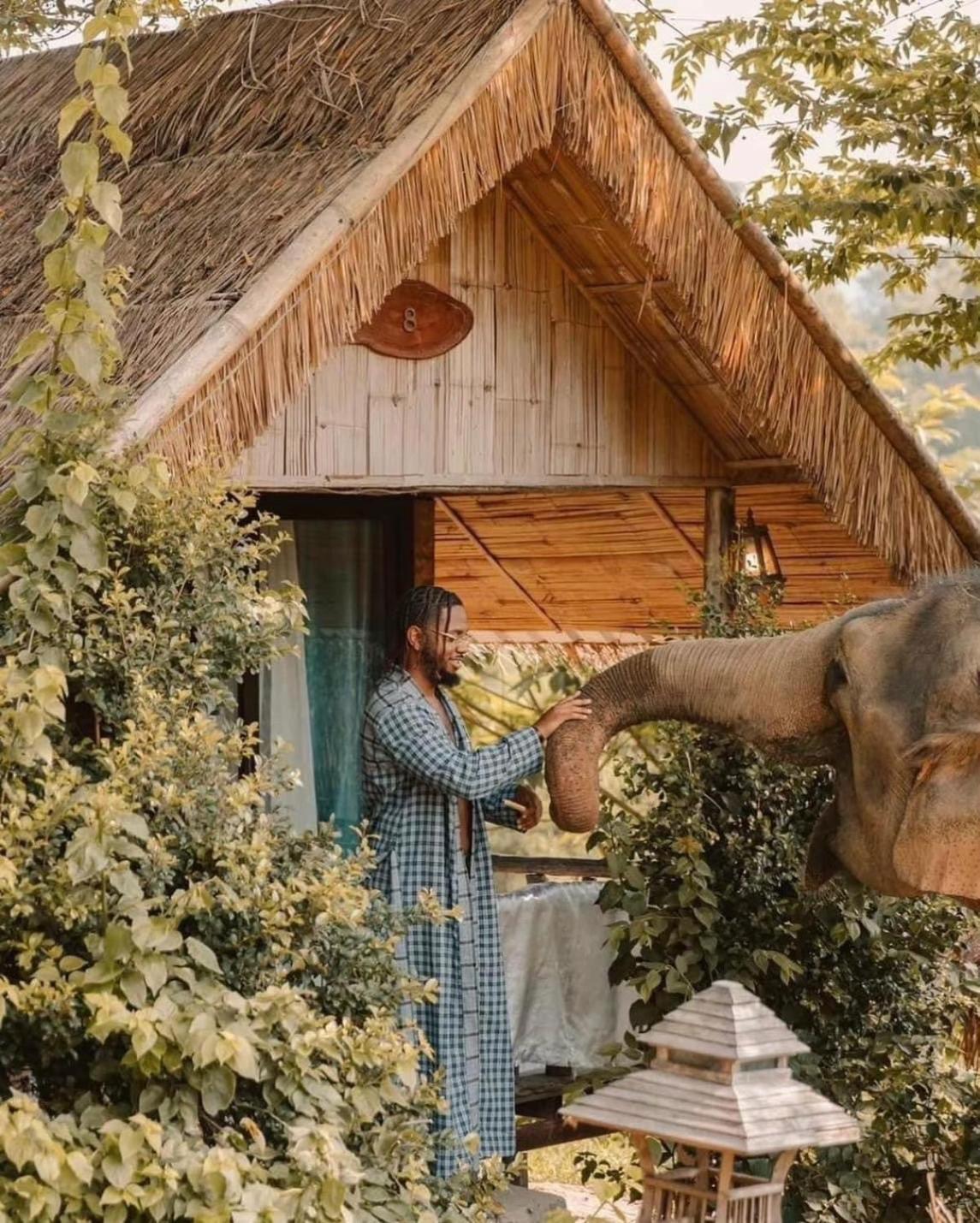3 Pok Maewang Jinxiang Gold Elephant Park Mae Wang Eksteriør bilde