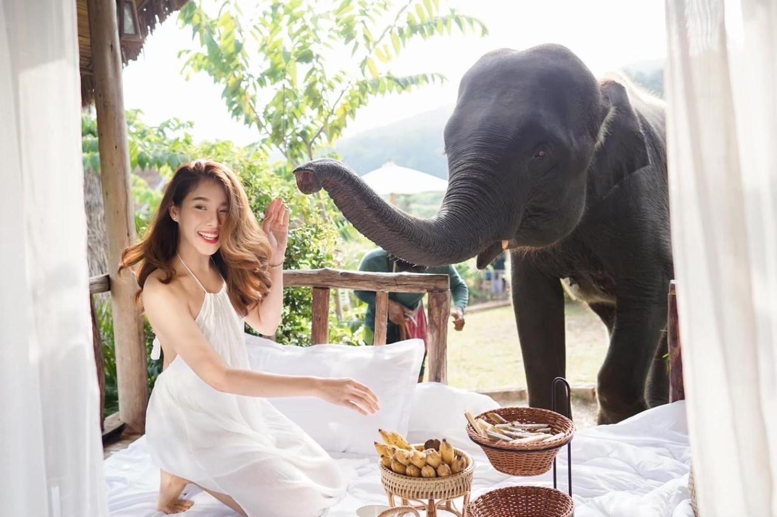 3 Pok Maewang Jinxiang Gold Elephant Park Mae Wang Eksteriør bilde