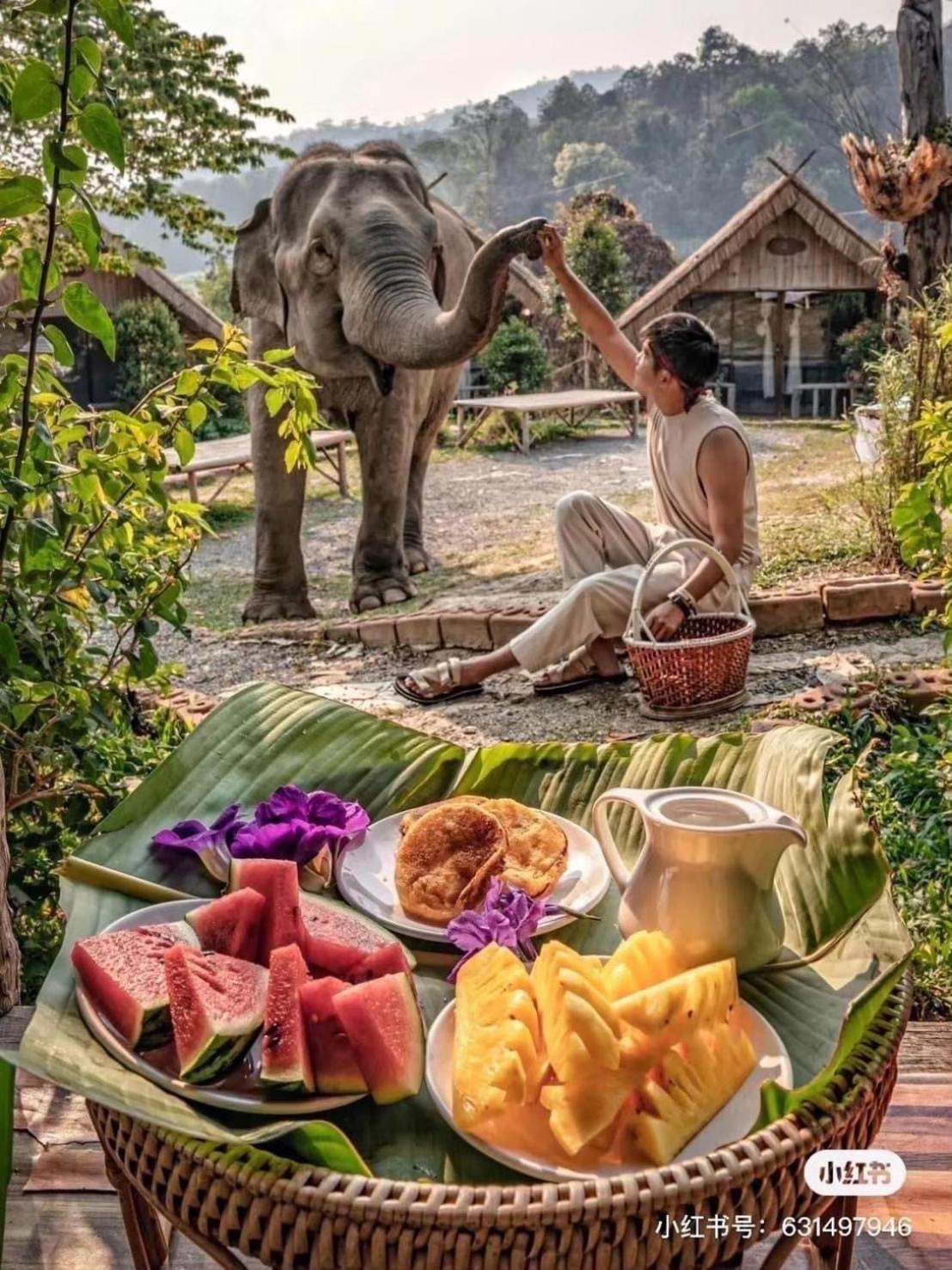 3 Pok Maewang Jinxiang Gold Elephant Park Mae Wang Eksteriør bilde
